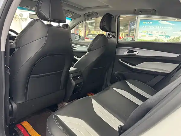 Geely Binrui 2022