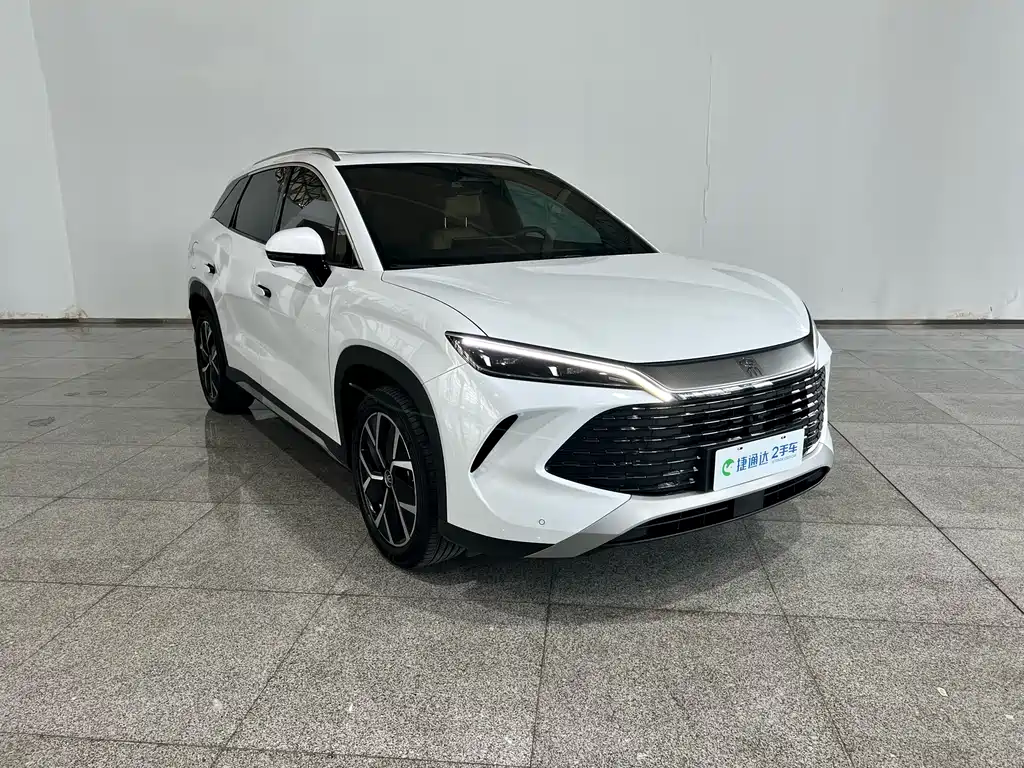 BYD L DM-i 2024 — фото 6