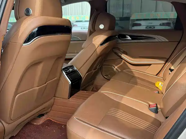 Hongqi H9 2021
