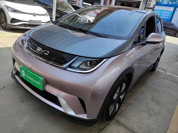 BYD Dolphin 2024