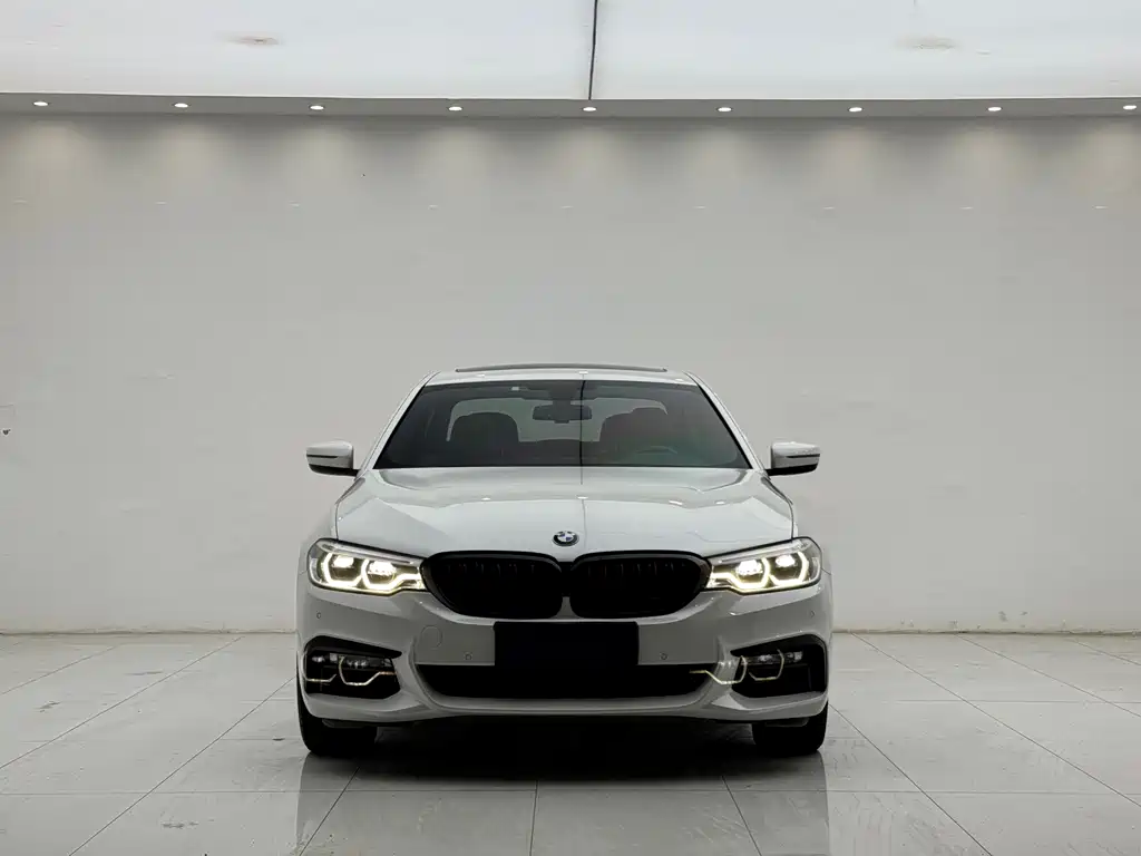 BMW 5 Series 2018 — фото 3