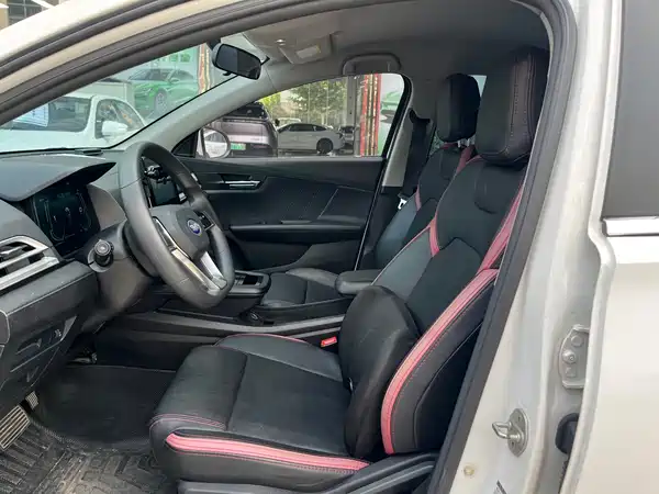 BYD e2 2019