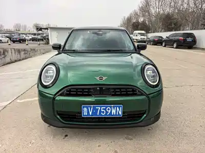 MINI MINI 2025