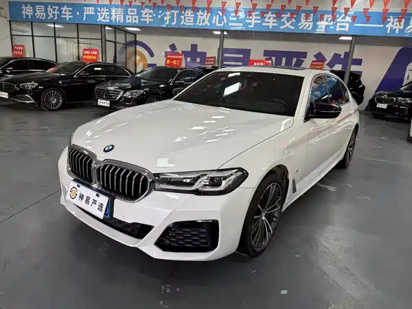 BMW 5 Series 2021