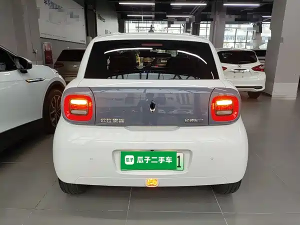 Ora Black Cat 2021