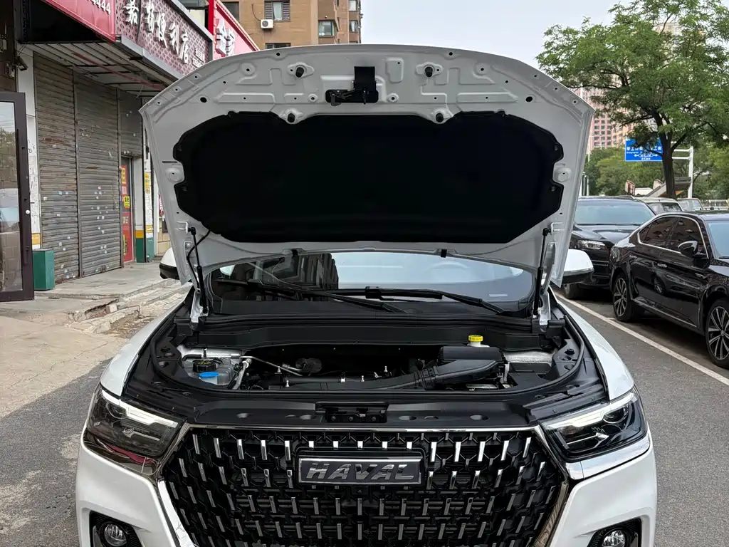 Haval H6 2023 — фото 15