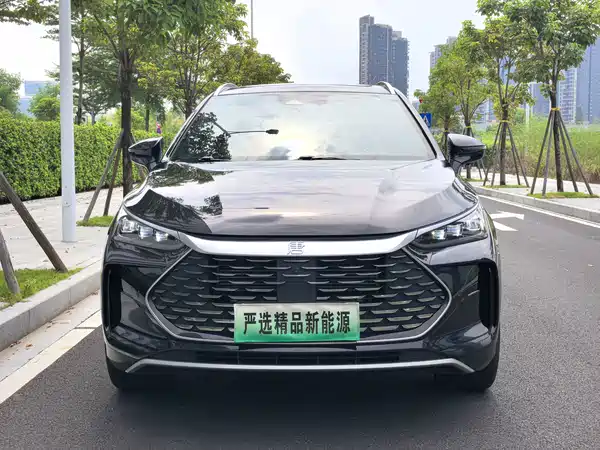 BYD Tang New Energy 2024