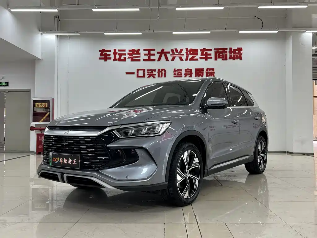 BYD Pro New Energy 2024 — фото 1