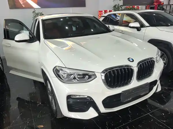 BMW X4 2019