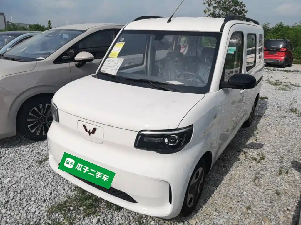 Wuling Zhiguang New Energy 2026