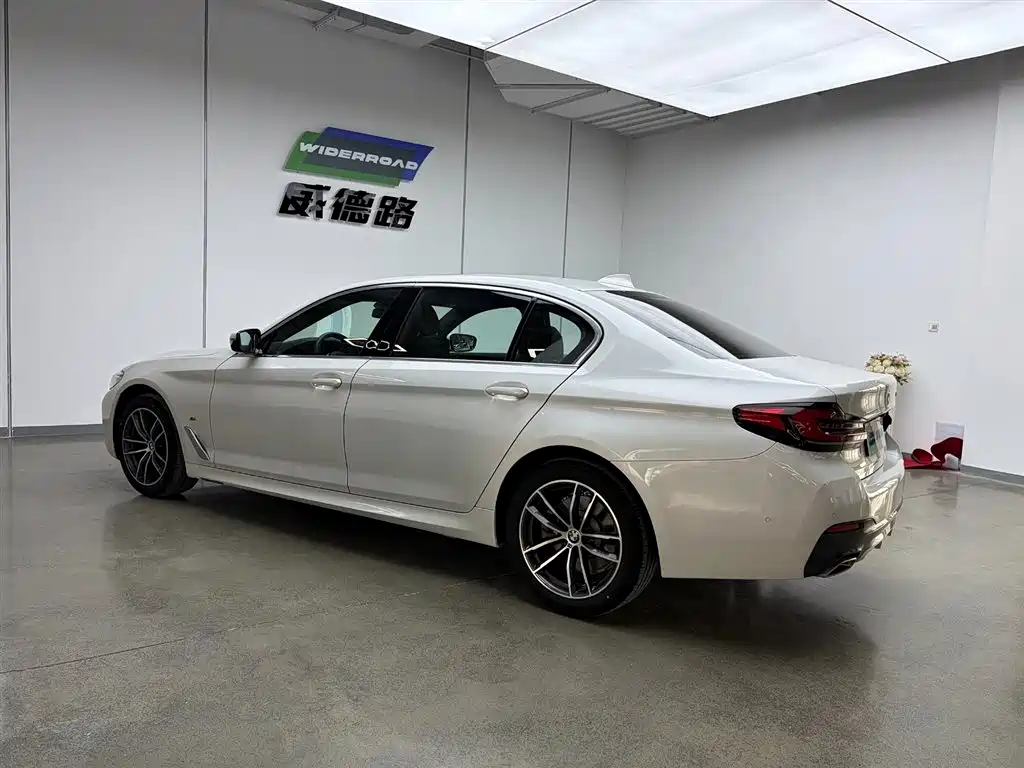 BMW 5 Series 2021