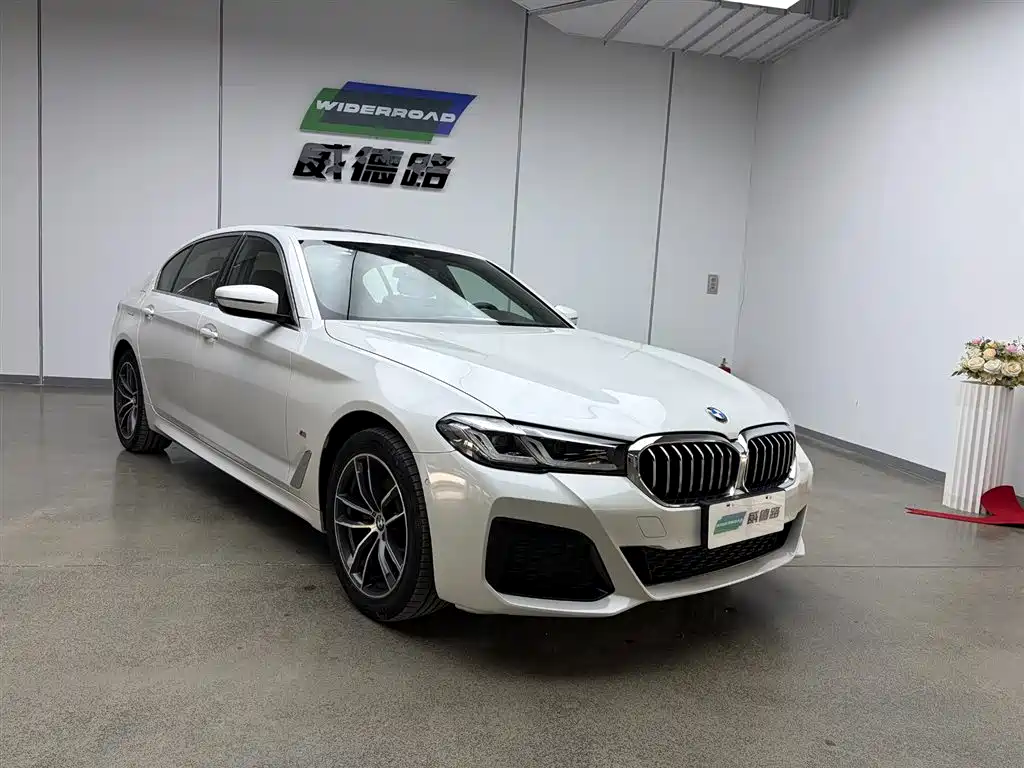 BMW 5 Series 2021