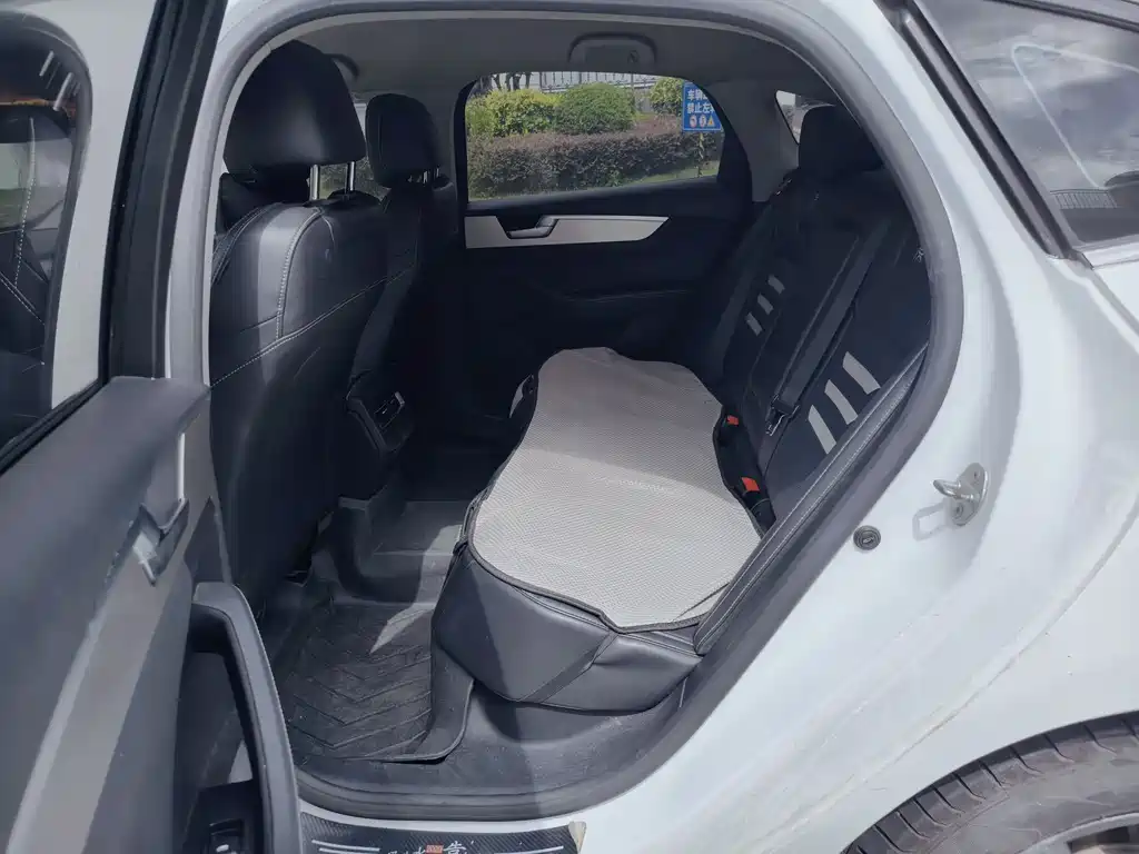 BYD Qin Pro NEV 2020 — фото 8