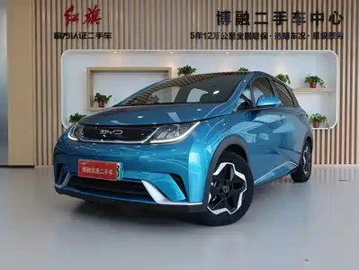 BYD Dolphin 2022