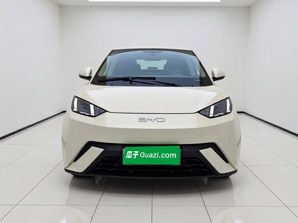 BYD Seagull 2024