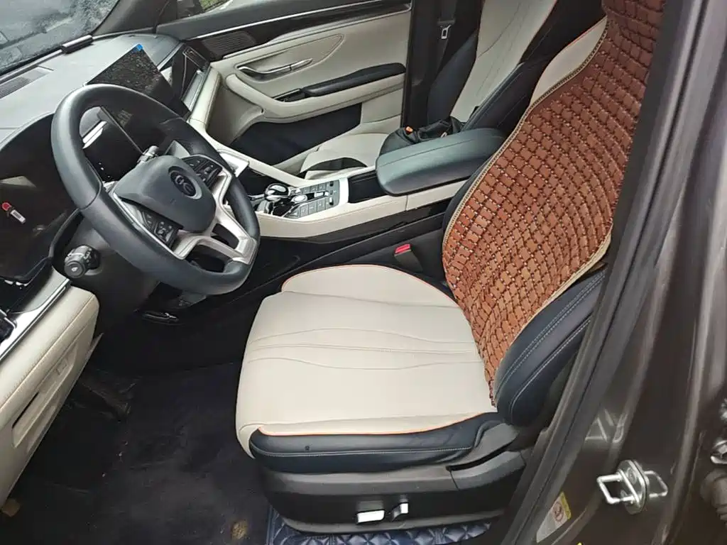 BYD Song PLUS New Energy 2021 — фото 22