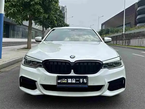 BMW 5 Series 2019