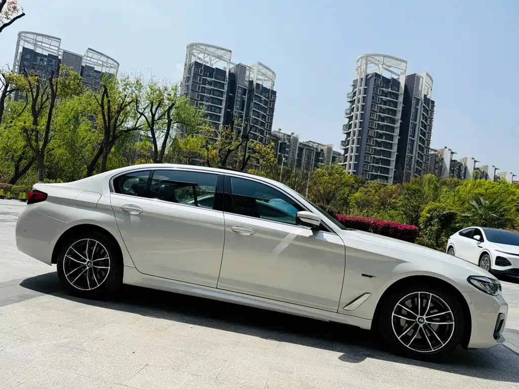 BMW 5 Series New Energy 2021