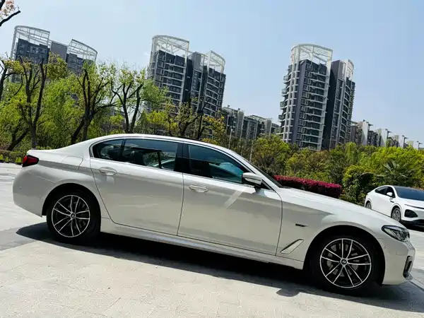 BMW 5 Series New Energy 2021