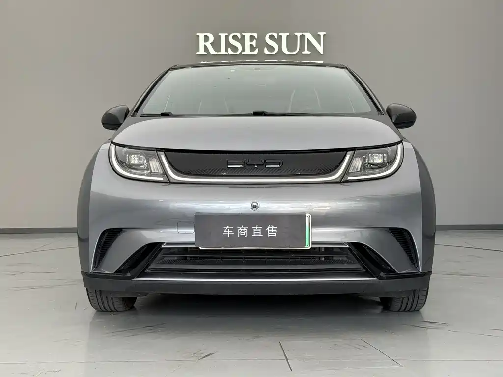 BYD Dolphin 2022