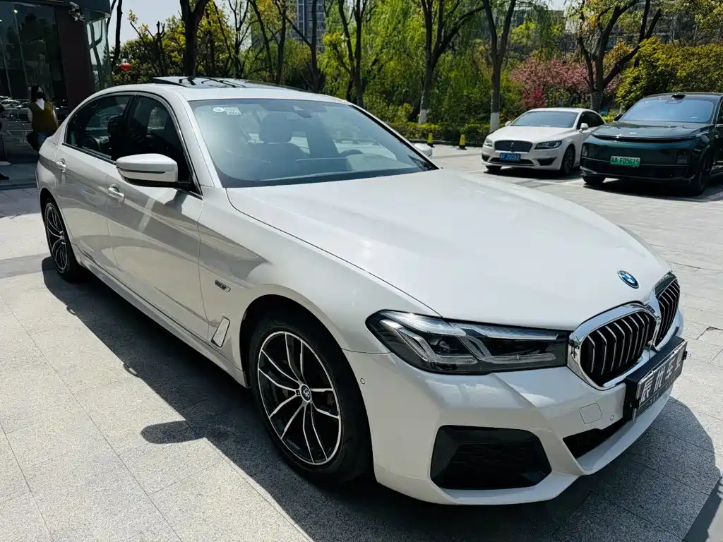 BMW 5 Series New Energy 2021