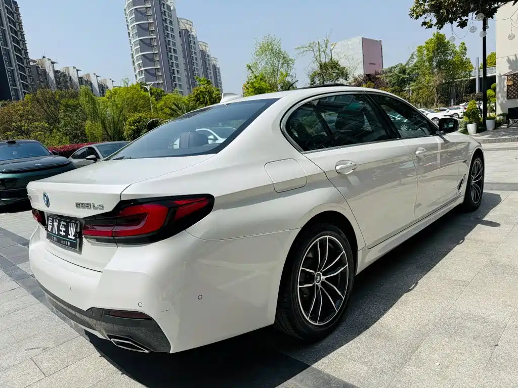 BMW 5 Series New Energy 2021