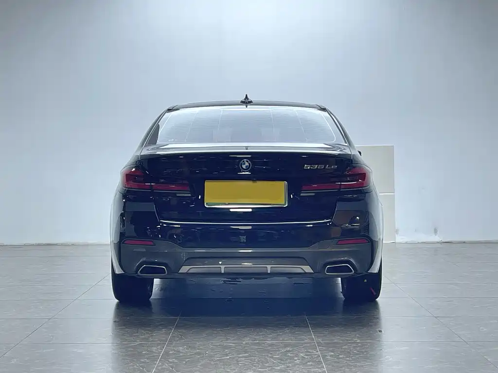 BMW 5 Series New Energy 2022