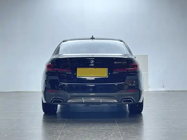 BMW 5 Series New Energy 2022