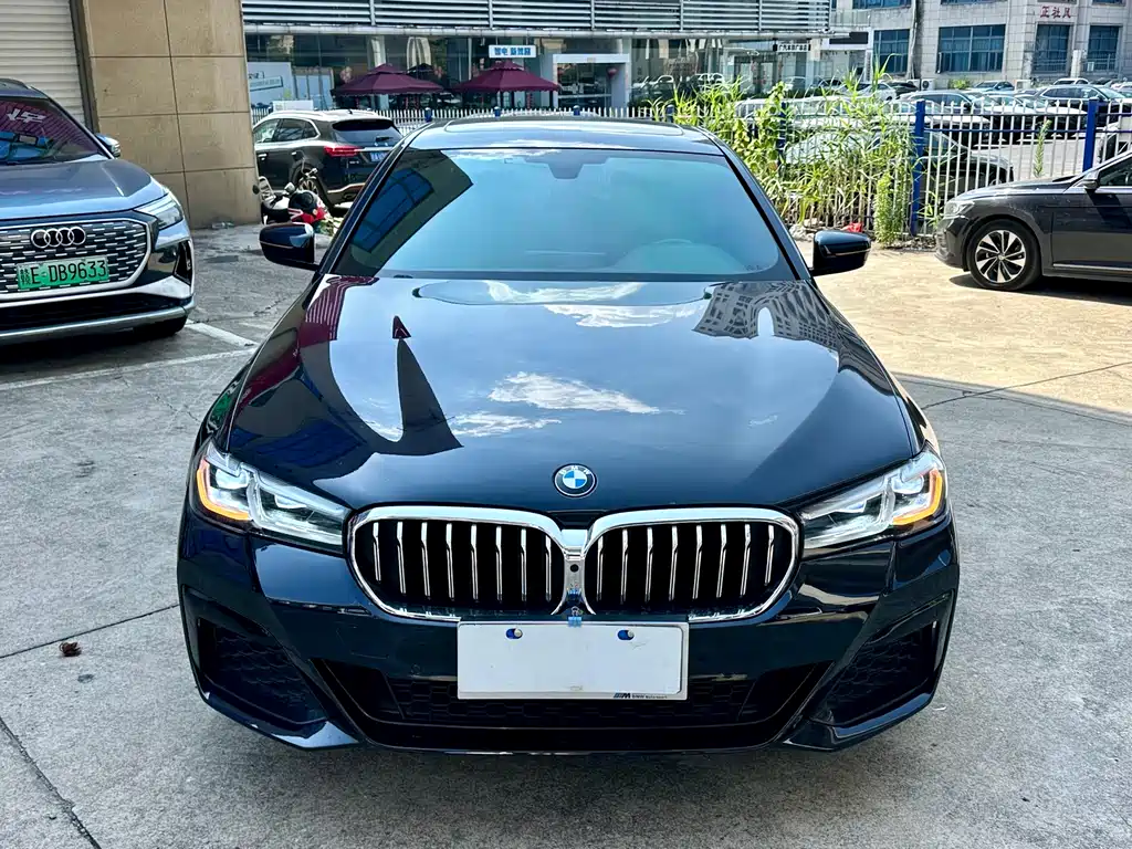 BMW 5 Series 2019