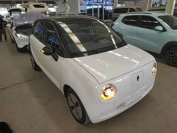Ora Black Cat 2021