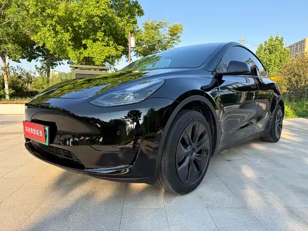 Tesla Model Y 2024