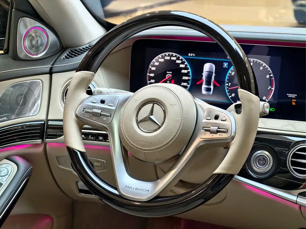 Mercedes-Benz S-Class 2019 — фото 24