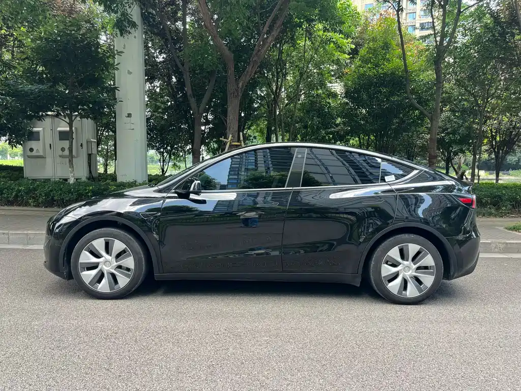 Tesla Model Y 2023 — фото 4