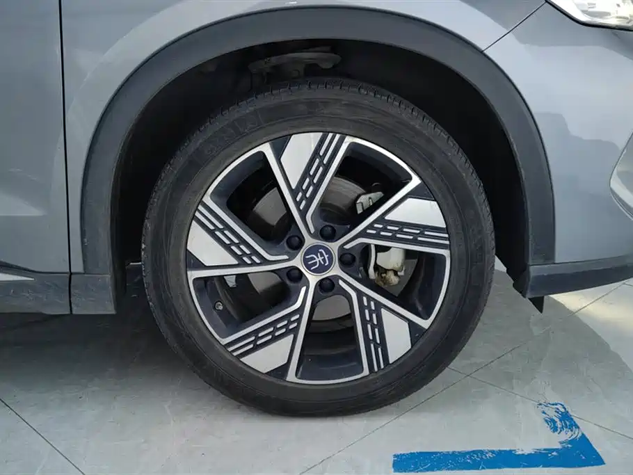 BYD Pro New Energy 2024 — фото 6