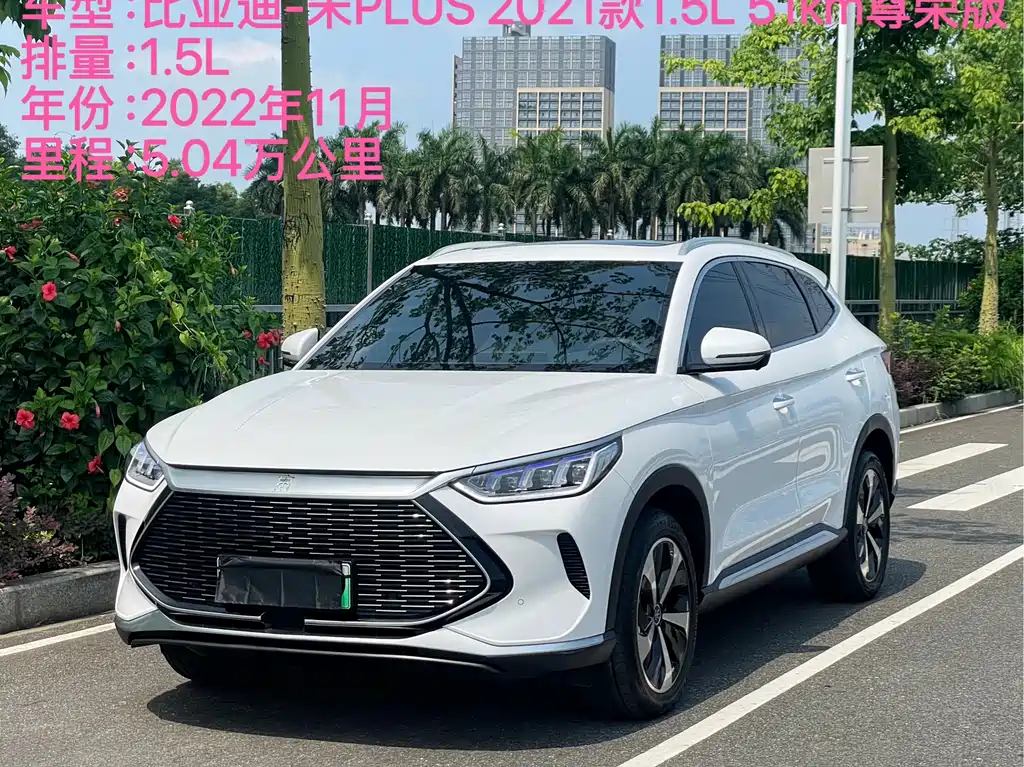 BYD PLUS New Energy 2022 — фото 2