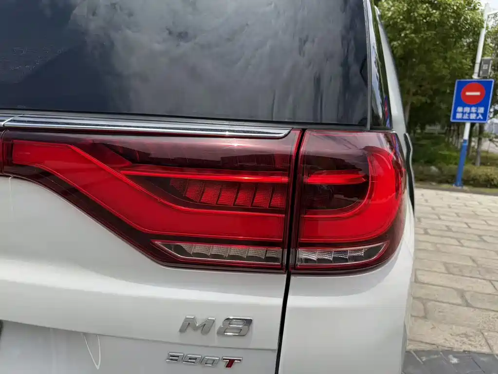 GAC Motor Trumpchi M8 2022 — фото 34