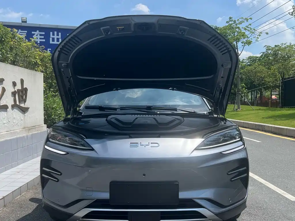 BYD Song PLUS New Energy 2024 — фото 3