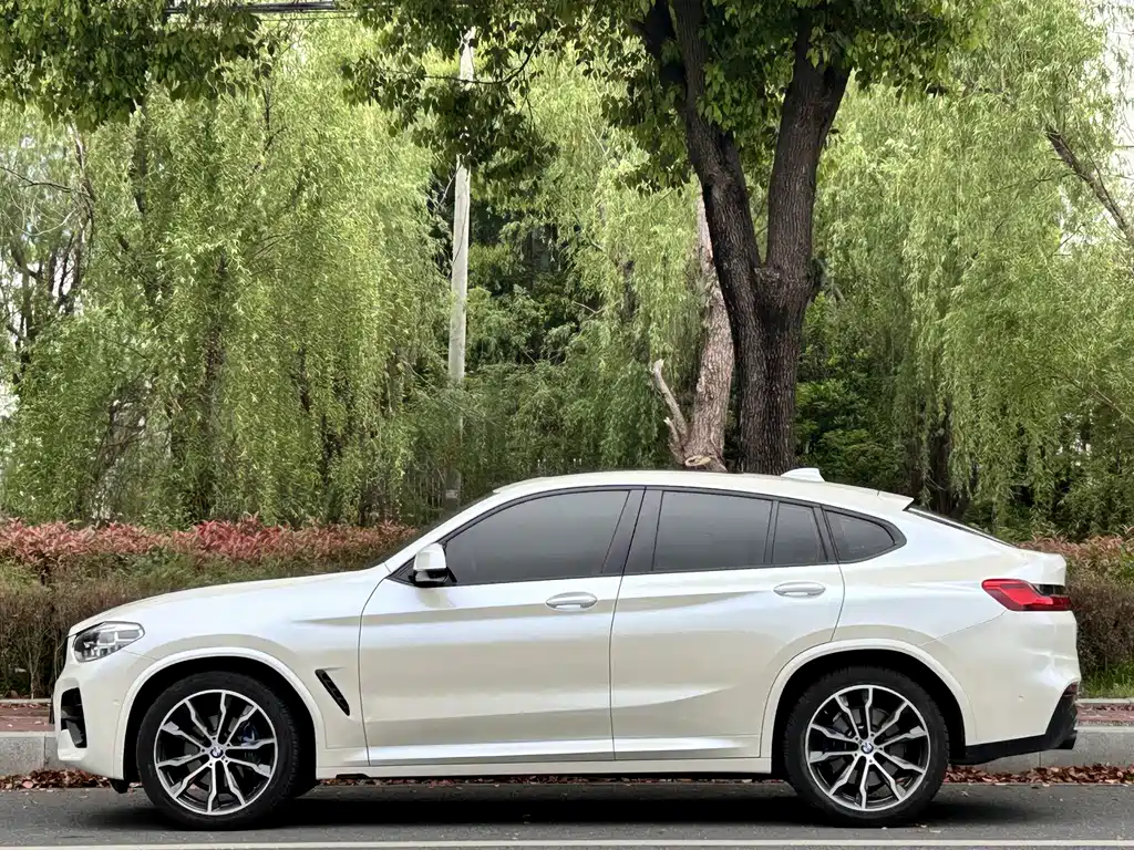 BMW X4 2021 — фото 4