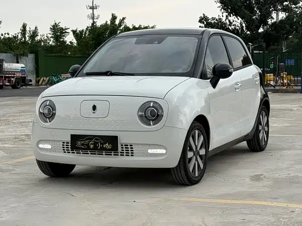 Ora Black Cat 2021