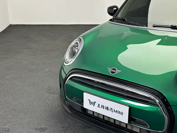 MINI MINI 2022