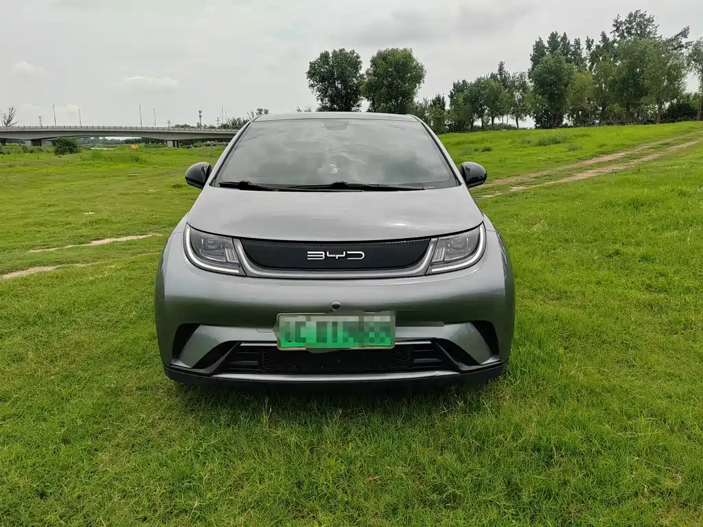 BYD Dolphin 2023