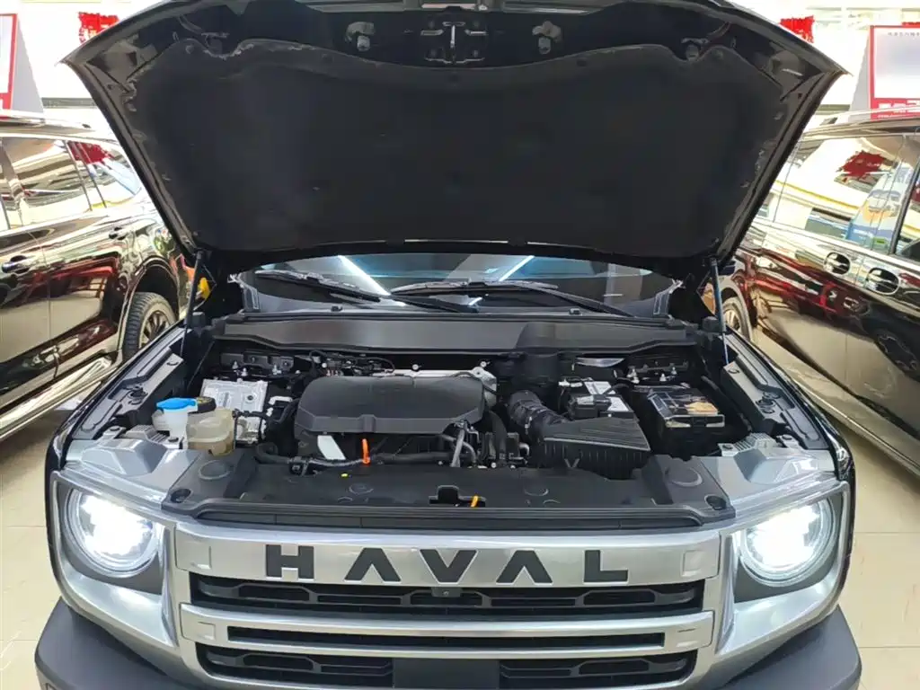 Haval Big Dog 2023 — фото 19