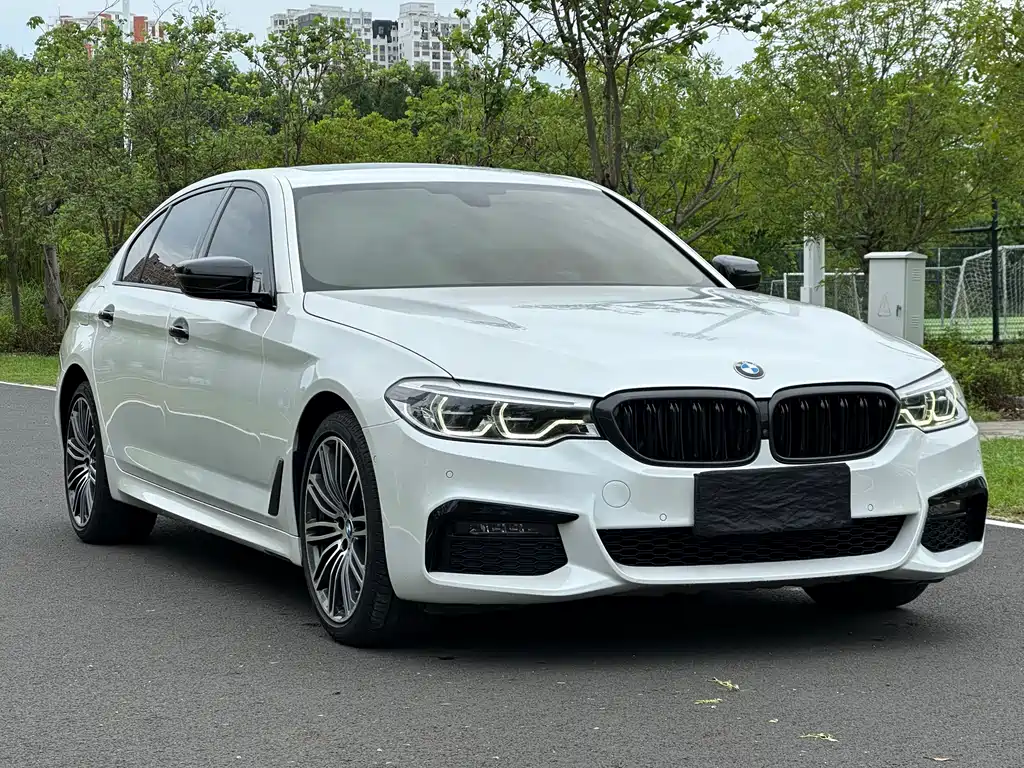BMW 5 Series 2018 — фото 3