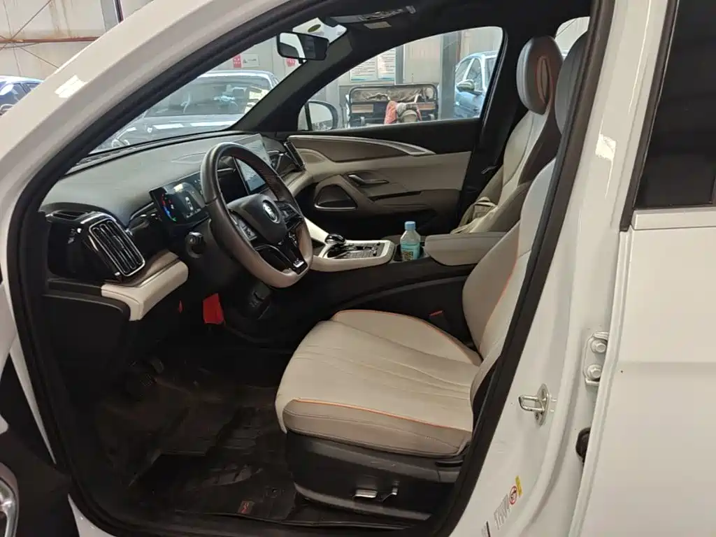 BYD Song Pro New Energy 2024 — фото 15