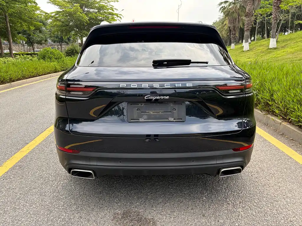 Porsche Cayenne 2020 — фото 15