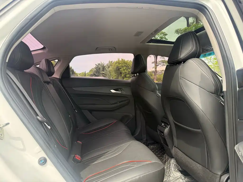 Geely Binrui 2022