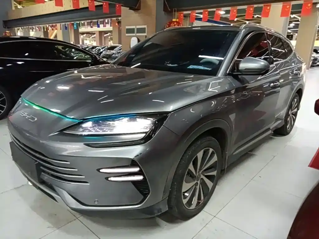 BYD PLUS New Energy 2024 — фото 2