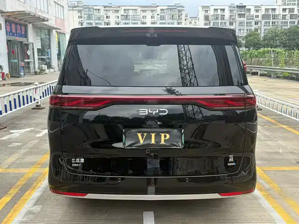 BYD Summer 2025
