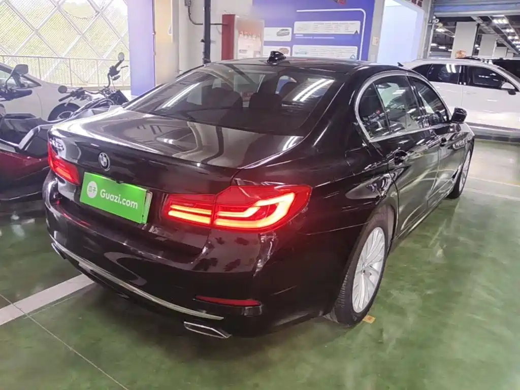 BMW 5 Series New Energy 2020