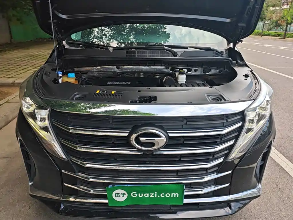 GAC Trumpchi M8 2022 — фото 20